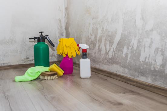 Photo of cleanup supplies