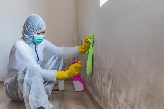 Worker cleaning mold safely